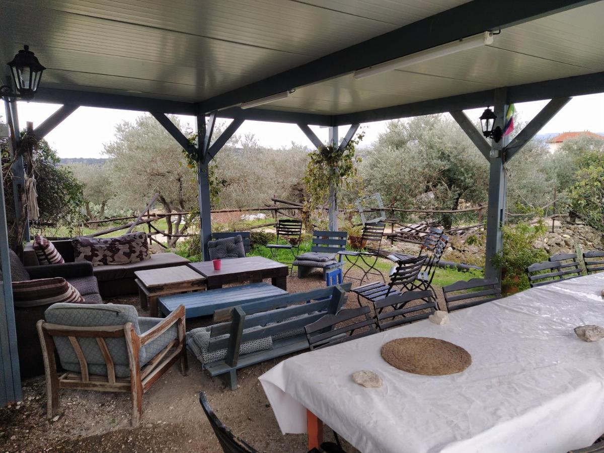 Galilee Bedouin Camplodge Tabash Экстерьер фото