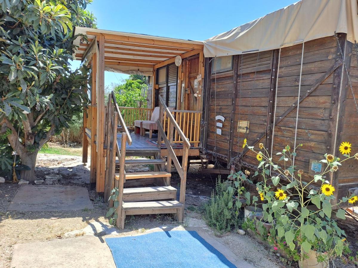 Galilee Bedouin Camplodge Tabash Экстерьер фото